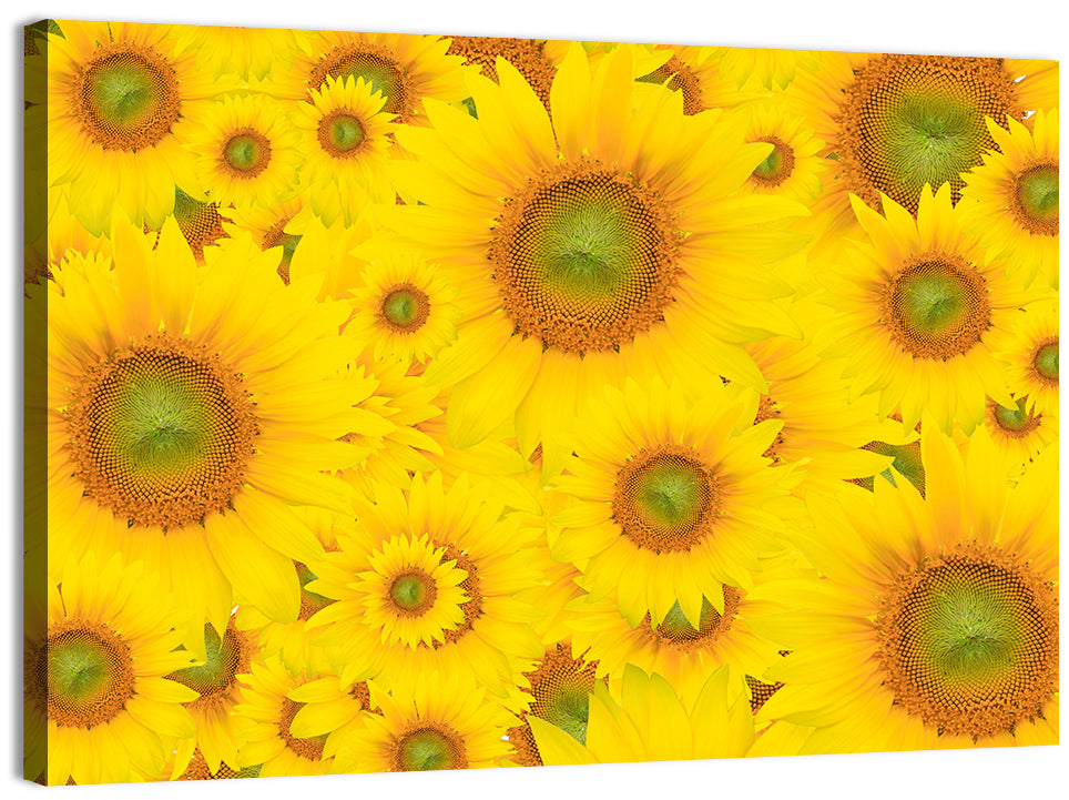 Sunflower Field Close-up in Yellow Wall Art, canvas print, landscape