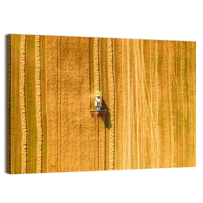 Aerial Wheat Harvest Wall Art as a canvas print