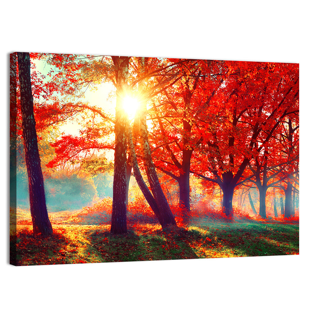 Autumn Park Sunrise Wall Art, canvas print, landscape