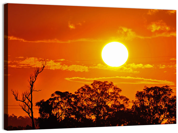 Burning Sun Over Tree Silhouettes Wall Art as a canvas print