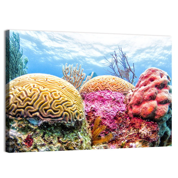 Vibrant Brain Coral Reef Wall Art as a canvas print