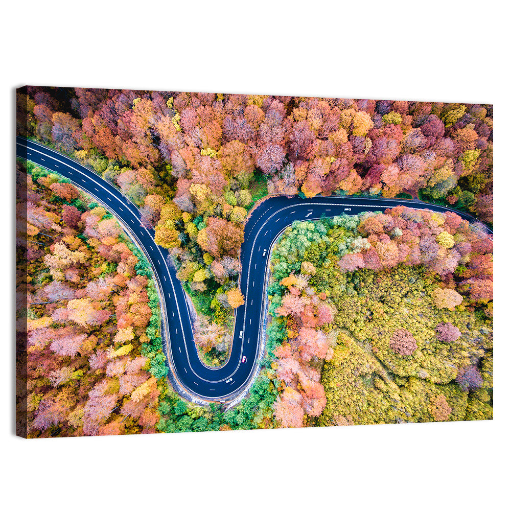 Winding Forest Road Wall Art, canvas print, landscape