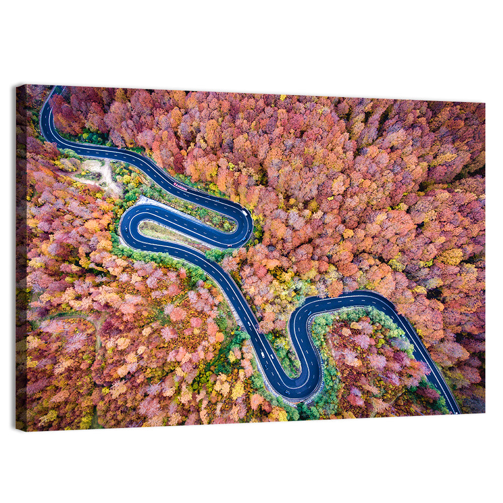 Serpentine Autumn Road Wall Art, canvas print, landscape