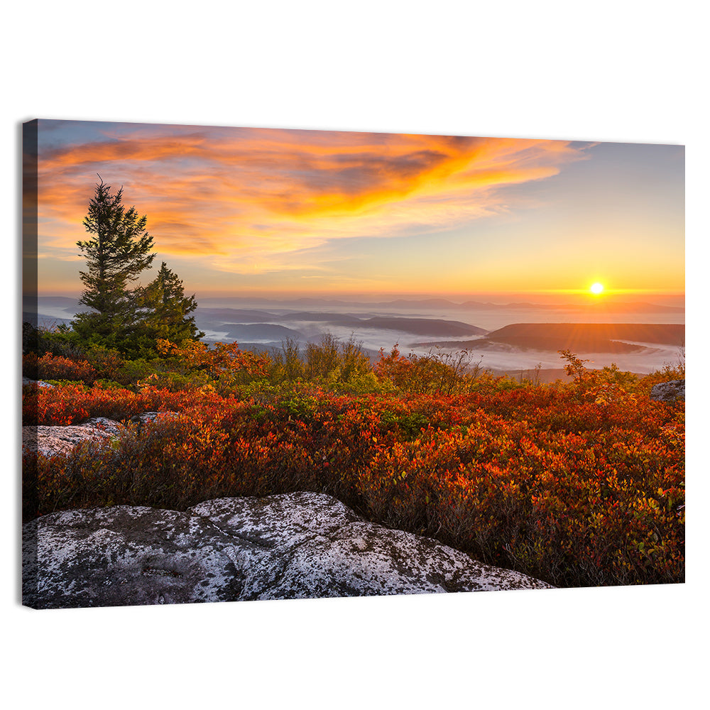 Sunrise Over Dolly Sods Wall Art, canvas print, landscape