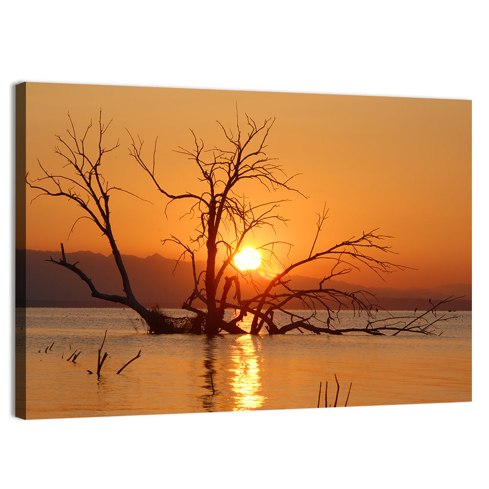 Salton Sea Sunrise Wall Art, canvas print, landscape