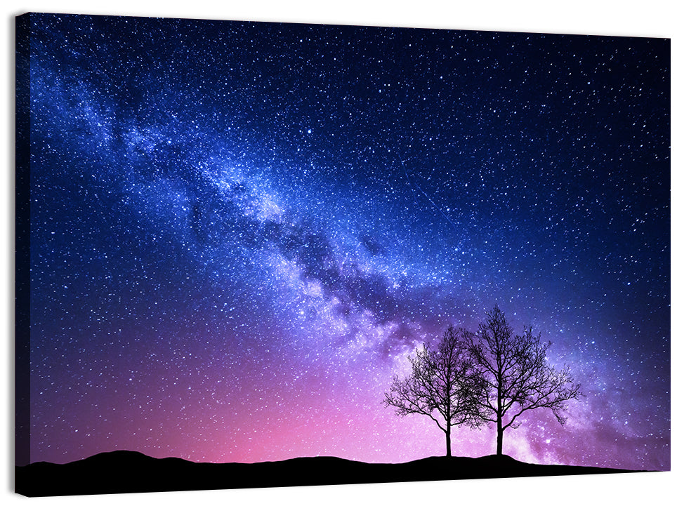 Milky Way Nebula Sky with Silhouetted Trees Wall Art, canvas print, landscape