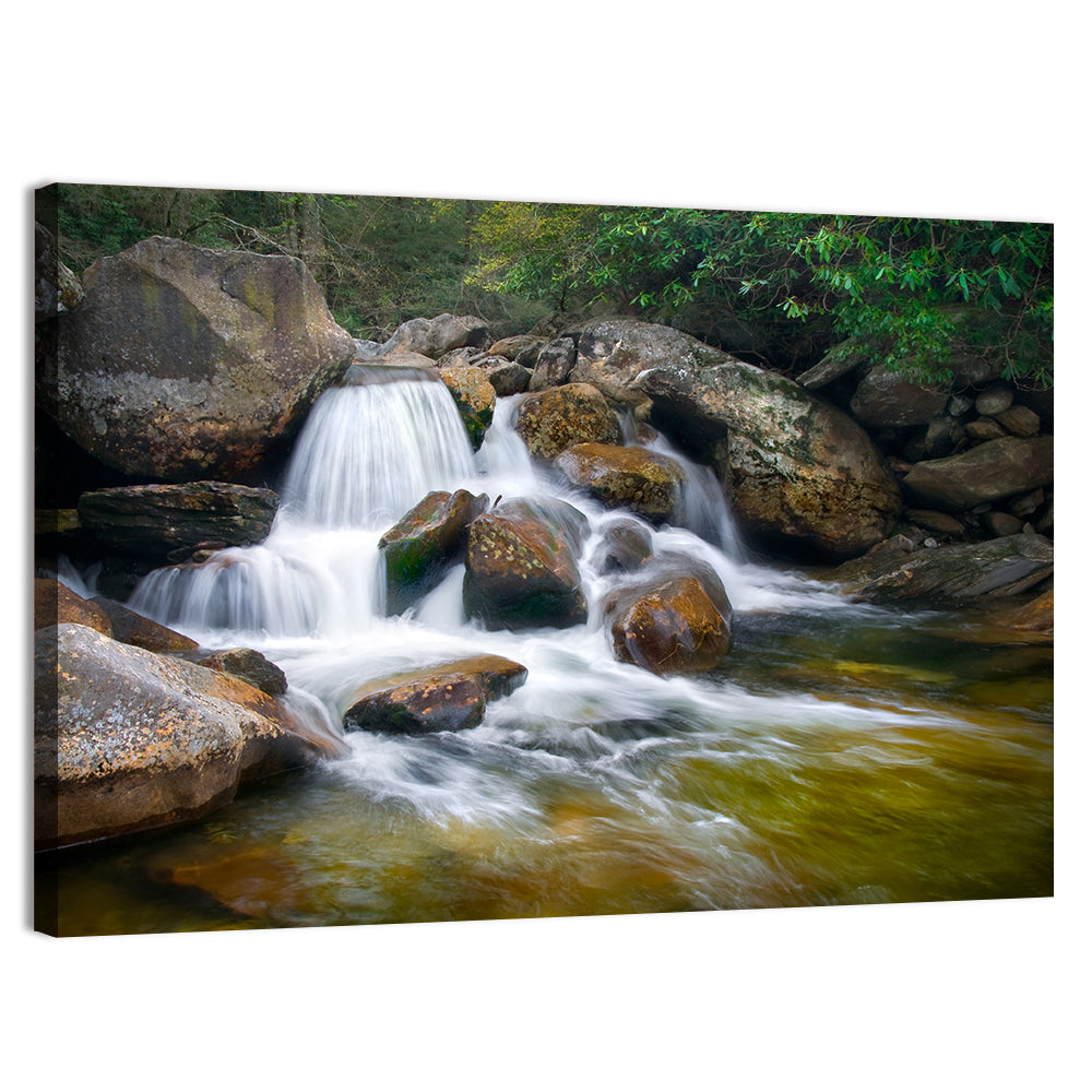 Blue Ridge Mossy Waterfall Wall Art, canvas print, landscape