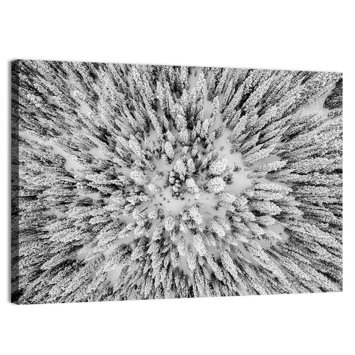 Snowy Aerial Forest Wall Art as a canvas print
