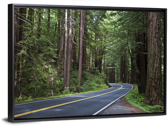 Winding Redwood Forest Road Wall Art as a framed canvas