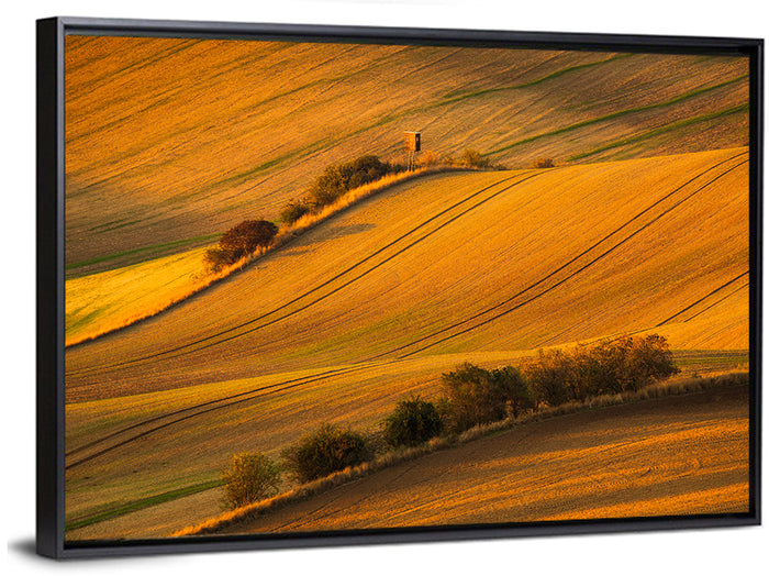 Golden Moravian Farm Tracks Wall Art as a framed canvas