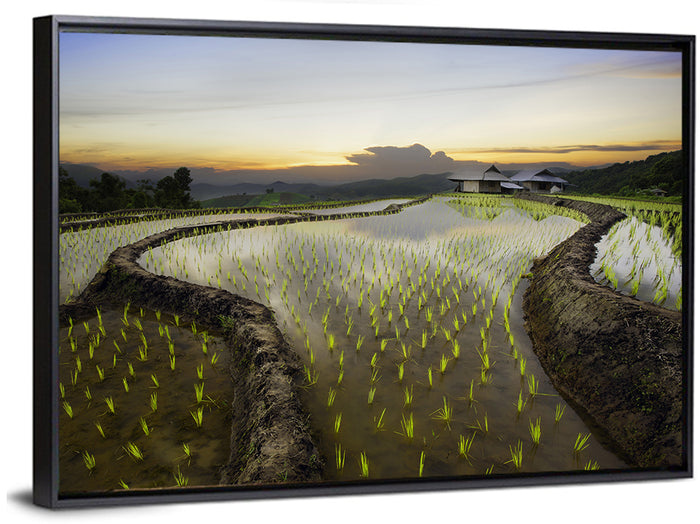 Pa Pong Peang Rice Terrace Wall Art as a framed canvas
