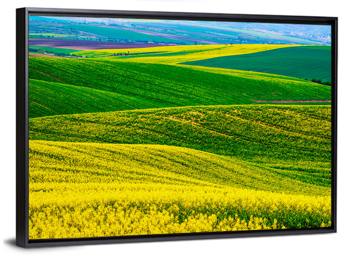 Spring Rapeseed Fields Wall Art as a framed canvas