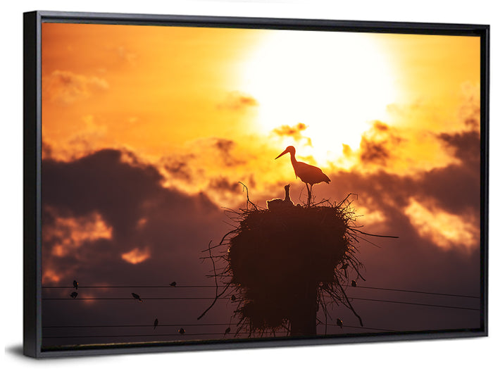 Stork Nest at Sunset Wall Art as a framed canvas