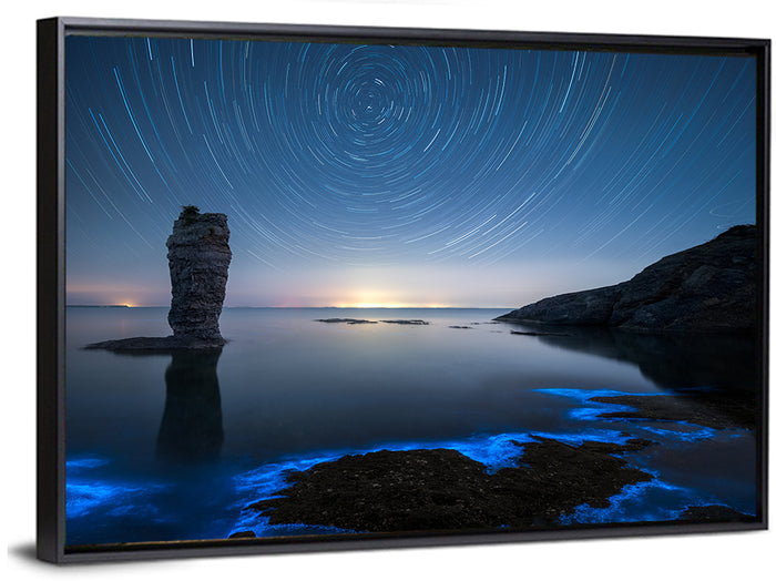 Fluorescent Sea Reef Wall Art as a framed canvas