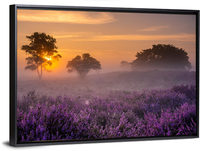Misty Heather Field at Dawn Wall Art as a framed canvas