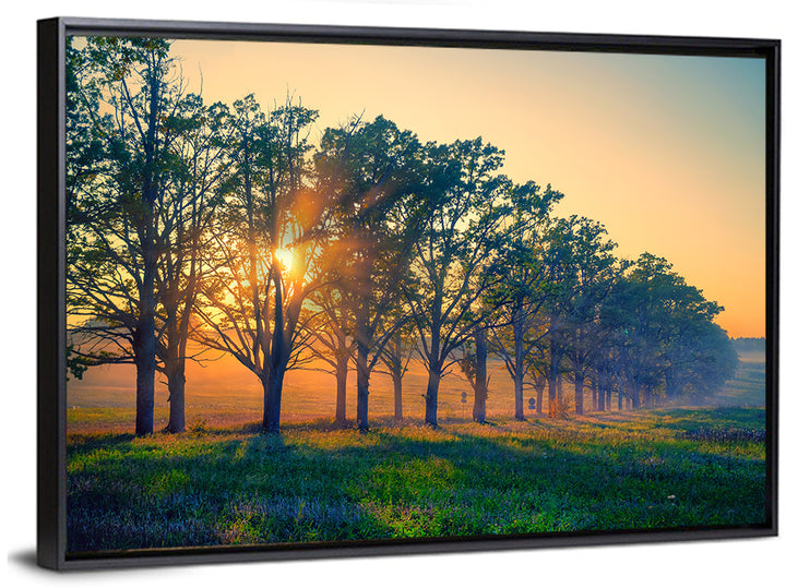 Oak Alley Golden Hour Wall Art