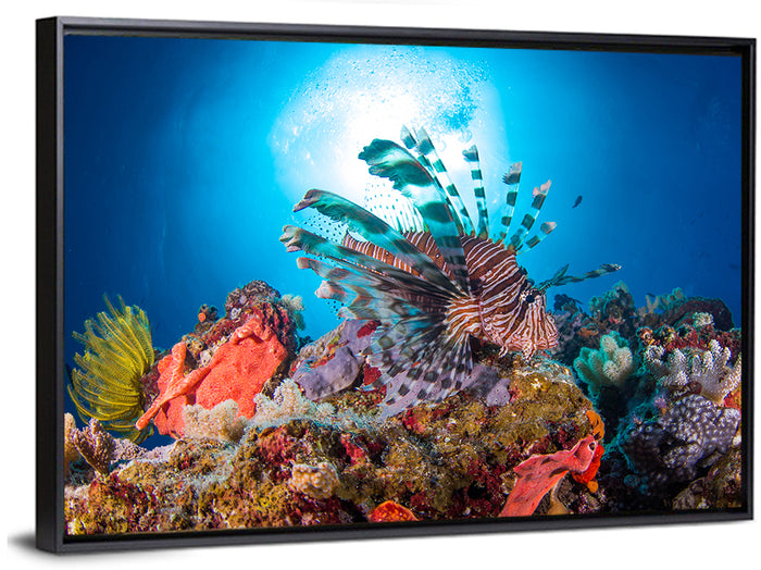 Lionfish in Coral Reef Wall Art as a framed canvas