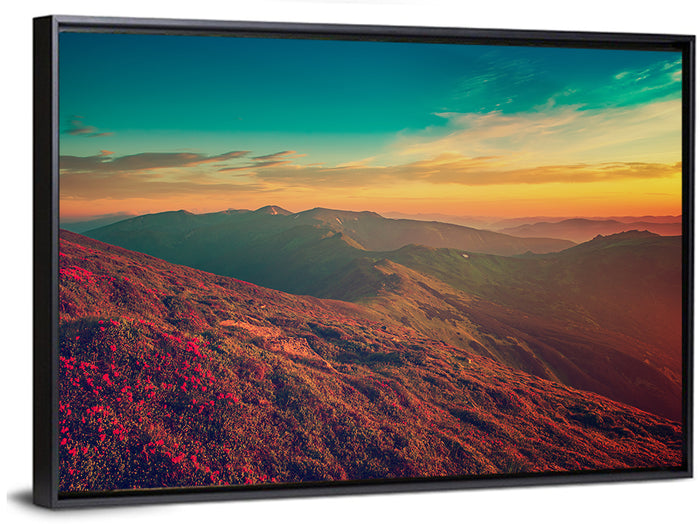 Alpine Rhododendrons at Golden Sunrise Wall Art as a framed canvas