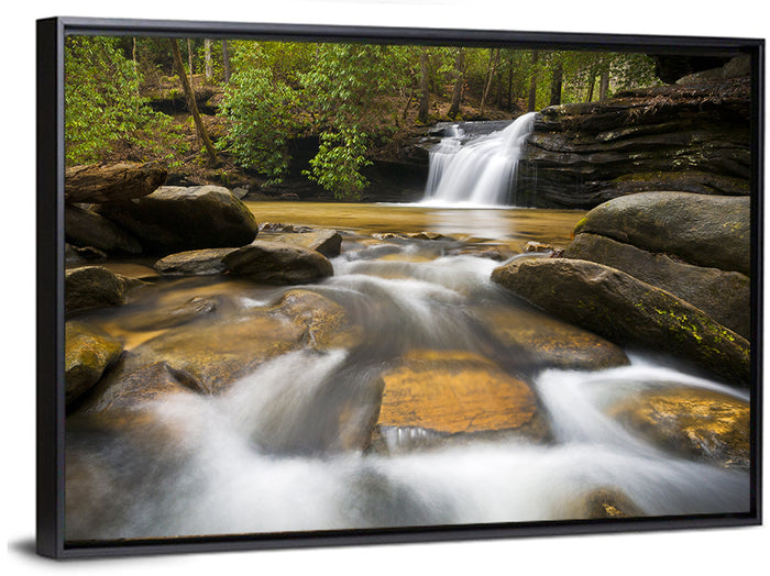 South Carolina Forest Waterfall Wall Art as a framed canvas