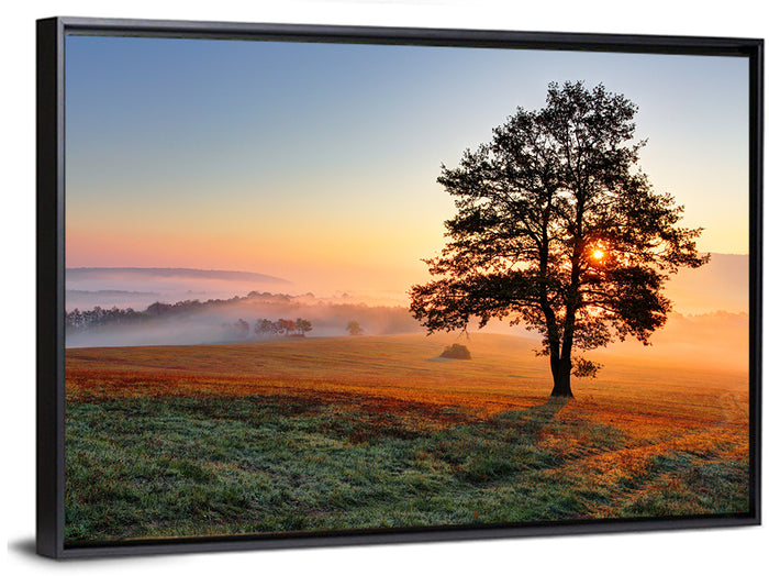 Misty Meadow Sunrise with Lone Tree Wall Art as a framed canvas