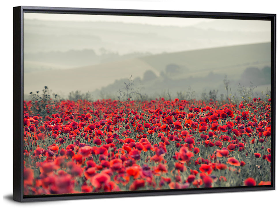 Red Poppy Field Wall Art, framed canvas, landscape