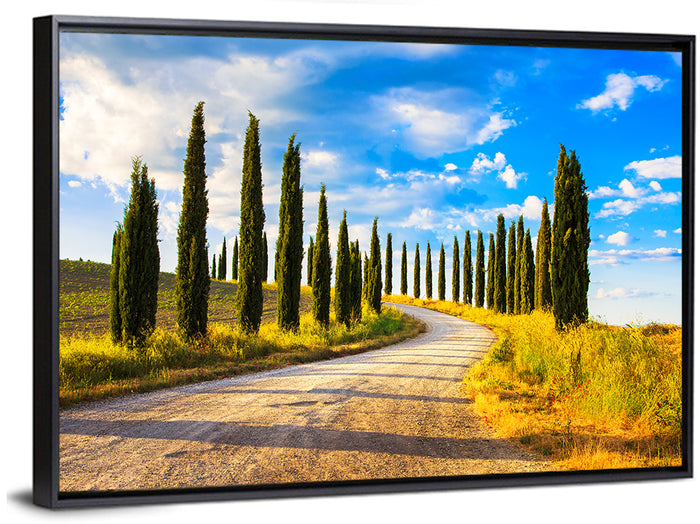 Sunlit Tuscany Cypress Road Wall Art as a framed canvas