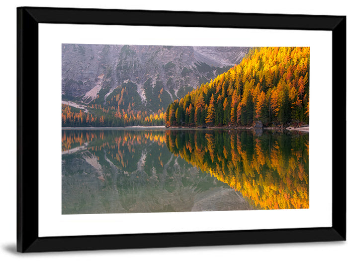 Braies Lake Golden Reflection Wall Art as a framed print