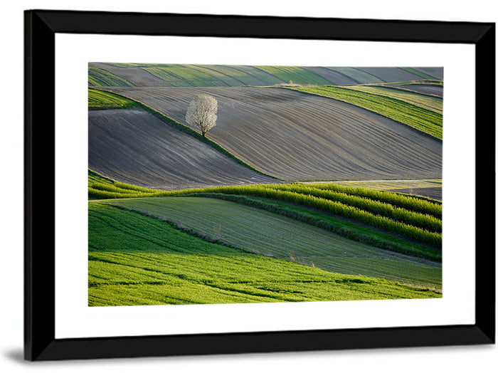 Springtime Polish Fields Wall Art as a framed print