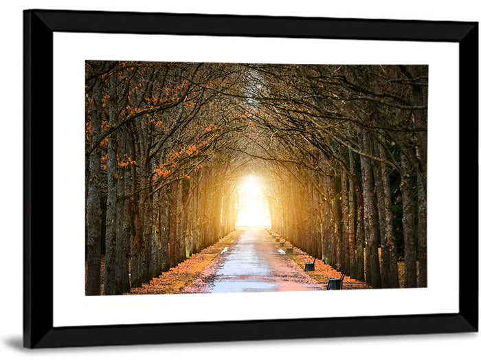 Autumn Oak Tunnel Wall Art as a framed print