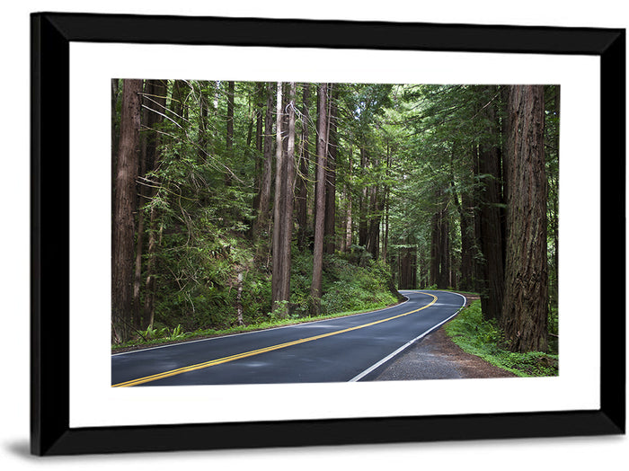 Winding Redwood Forest Road Wall Art as a framed print
