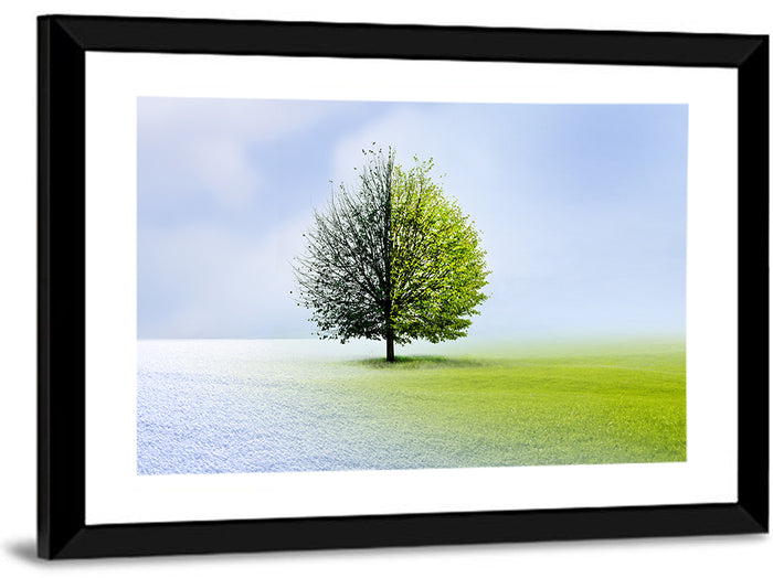 Winter to Spring Tree Wall Art as a framed print
