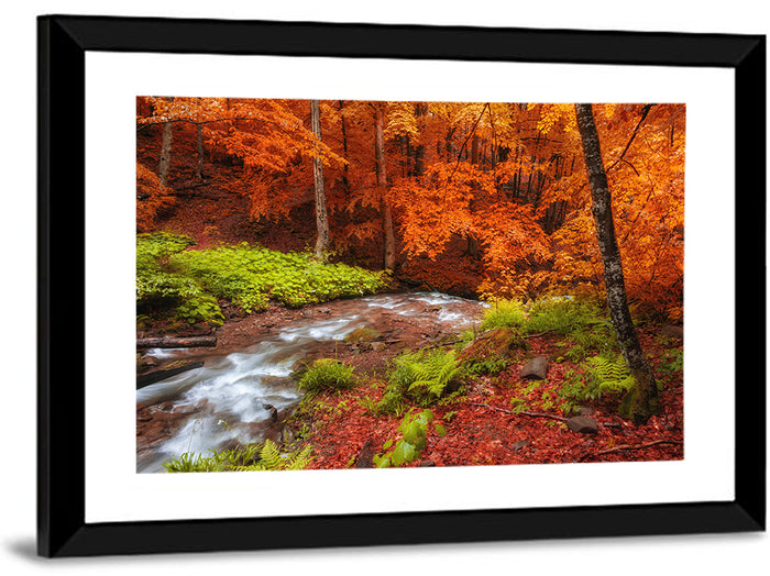 Autumn Forest Stream Wall Art as a framed print