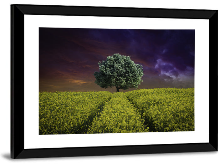 Solitary Tree in Yellow Field Wall Art as a framed print