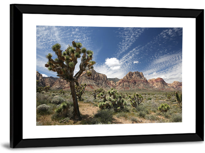 Joshua Tree at Red Rock Canyon Wall Art as a framed print