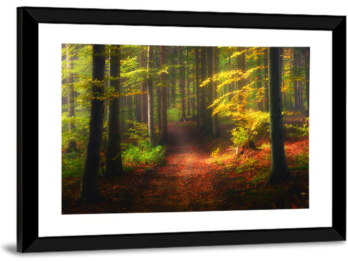 Autumn Forest Pathway Wall Art as a framed print