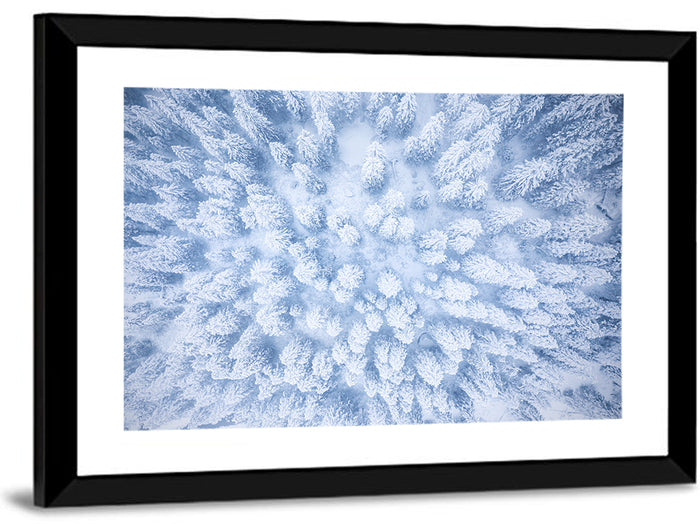Snow-dusted Evergreen Canopy Wall Art as a framed print