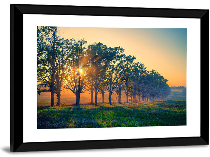 Oak Alley Golden Hour Wall Art as a framed print