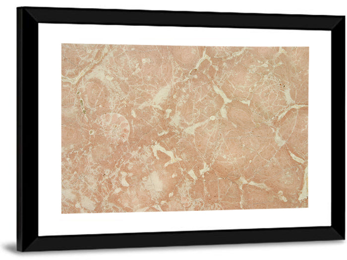 Fossil Veins Marble Study Wall Art as a framed print
