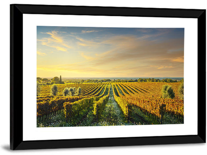 Bolgheri Vineyard Wall Art as a framed print