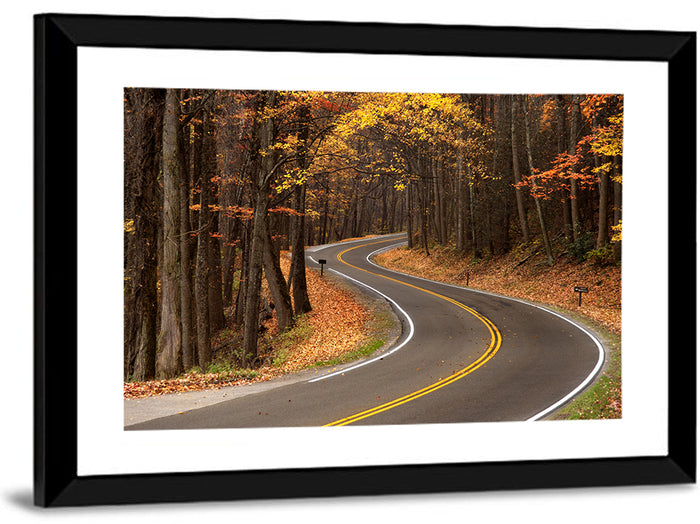 S-curve Road Through Autumn Forest Wall Art as a framed print