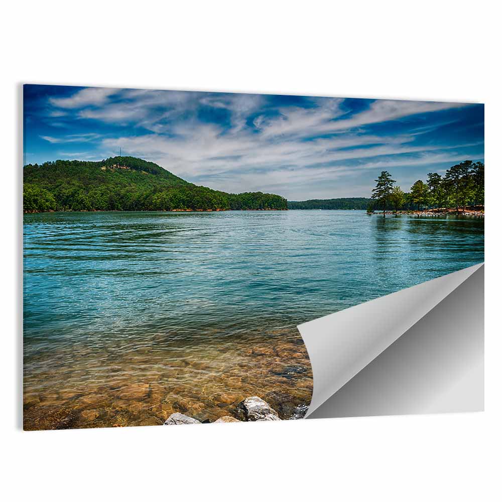 Lake Allatoona Rocky Shoreline Wall Art