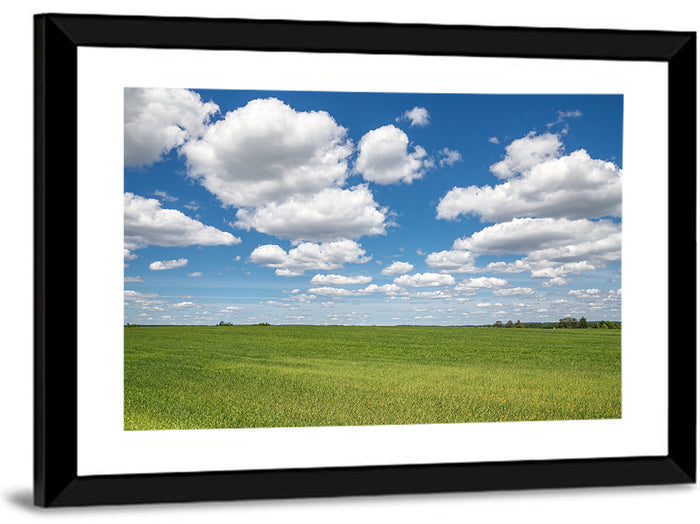 Cloud Filled Sky Over Meadow Wall Art as a framed print
