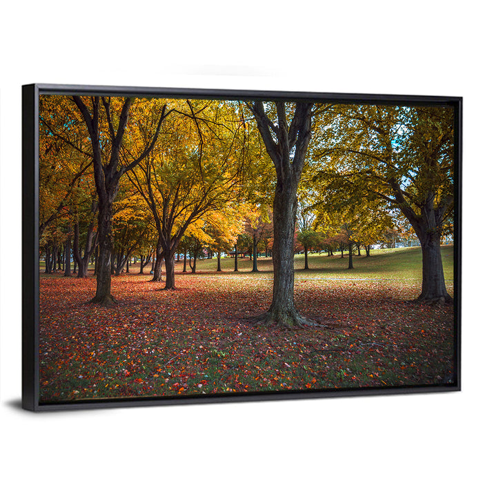 Autumn Park Trees, Pennsylvania Wall Art as a framed canvas