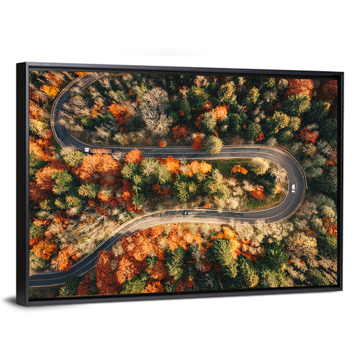 Aerial Winding Autumn Forest Road Wall Art as a framed canvas