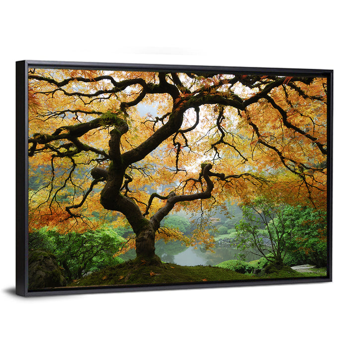 Japanese Autumn Maple Wall Art as a framed canvas