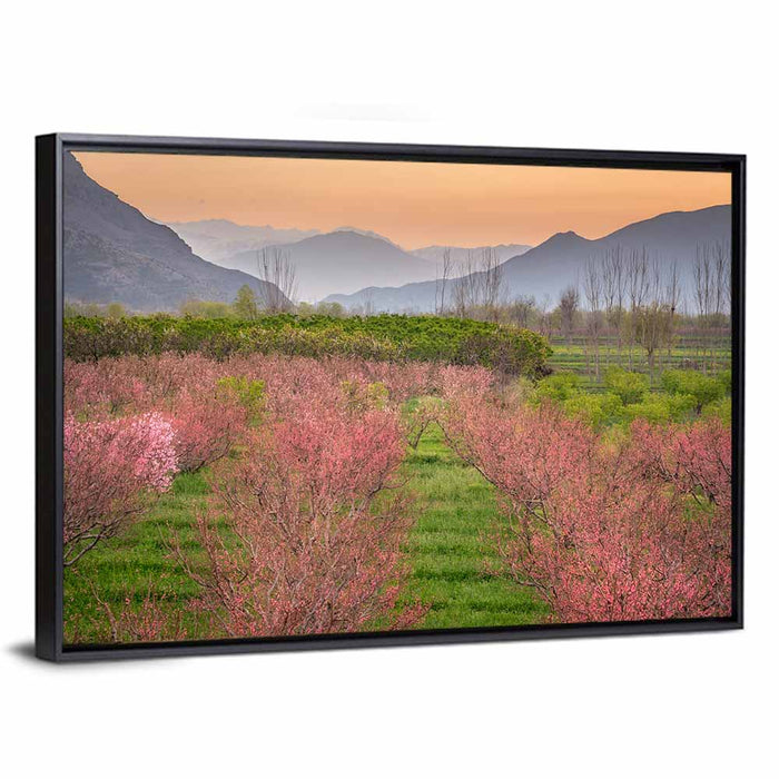 Swat Valley Spring Orchard Wall Art as a framed canvas