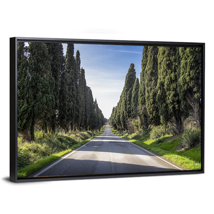 Avenue of Cypress Trees Wall Art as a framed canvas