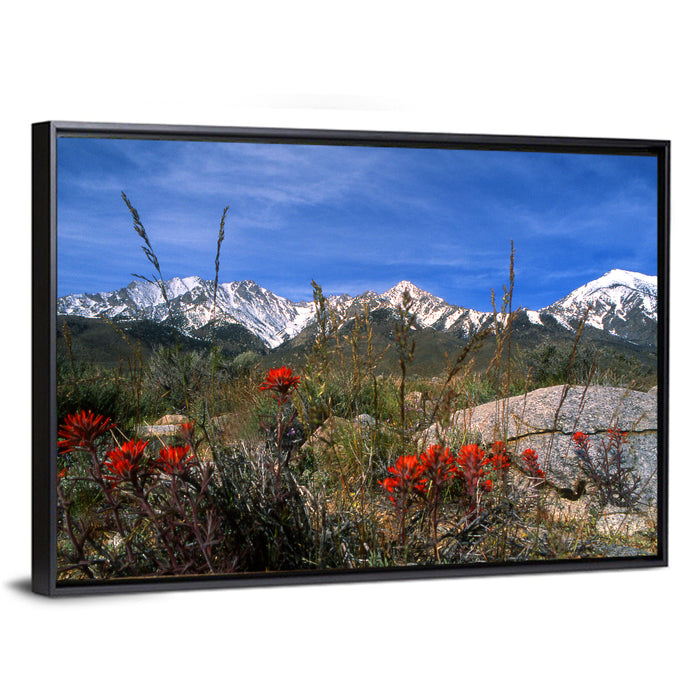 Sierra Nevada Wildflower Vista Wall Art as a framed canvas
