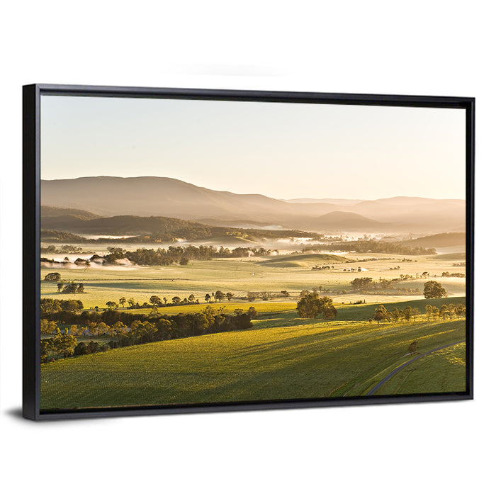 Yarra Valley Morning Mist Wall Art as a framed canvas