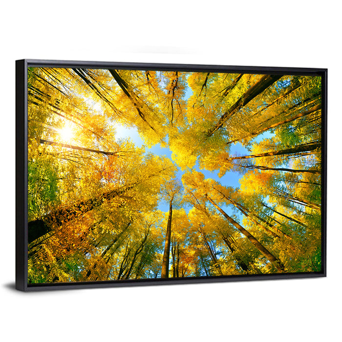 Golden Autumn Canopy Wall Art as a framed canvas